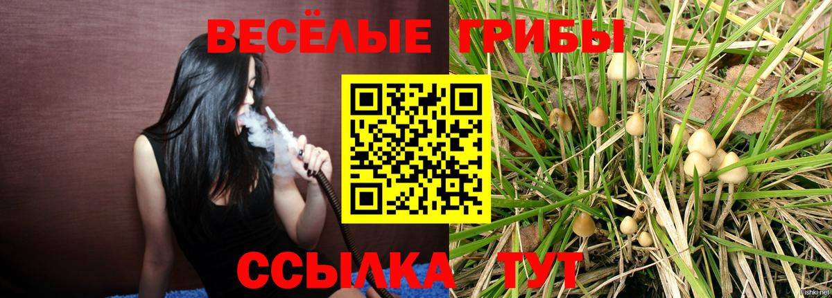 Псилоцибиновые грибы мицелий  Вход с VPN  Псилоцибиновые грибы ЛСД  Донецк 